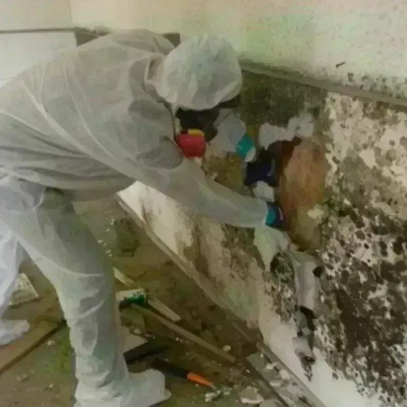 Mold Remediation and Removal in Dutchess County, NY